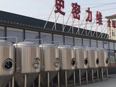 炎陵精酿啤酒设备厂—市场规模与跨界新需求